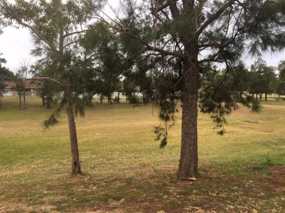 25 Chardonnay Avenue, Eschol Park