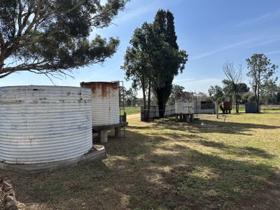 17 Channon Street, Leadville Via, Dunedoo