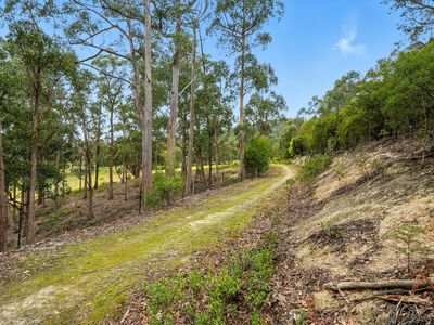 Lot 1, Rifle Range Road, Cygnet