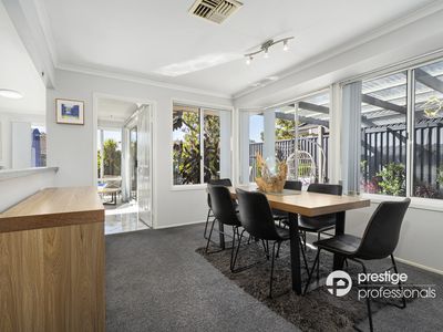 7 Wollemi Court, Wattle Grove