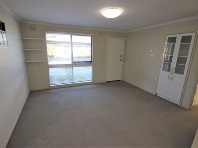 2 / 1 Holyrood Avenue, Newtown