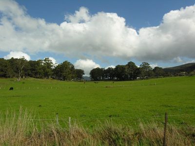 24 Rowes Rd, Geeveston