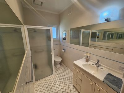 167 Williams Road, Millicent