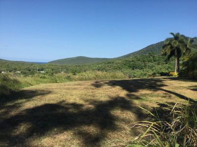 8 Rainforest Street, Cooktown