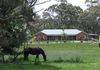 4 Spring Terrace Road, Orange