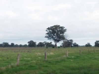 Humphreys Road, Rutherglen