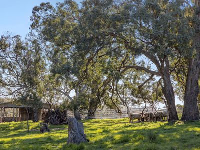 1469 Kyneton-Redesdale Road, Barfold