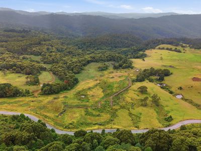 28834 Tasman Highway, Weldborough