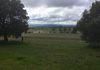 - Loch Lomond Road, Gooloogong