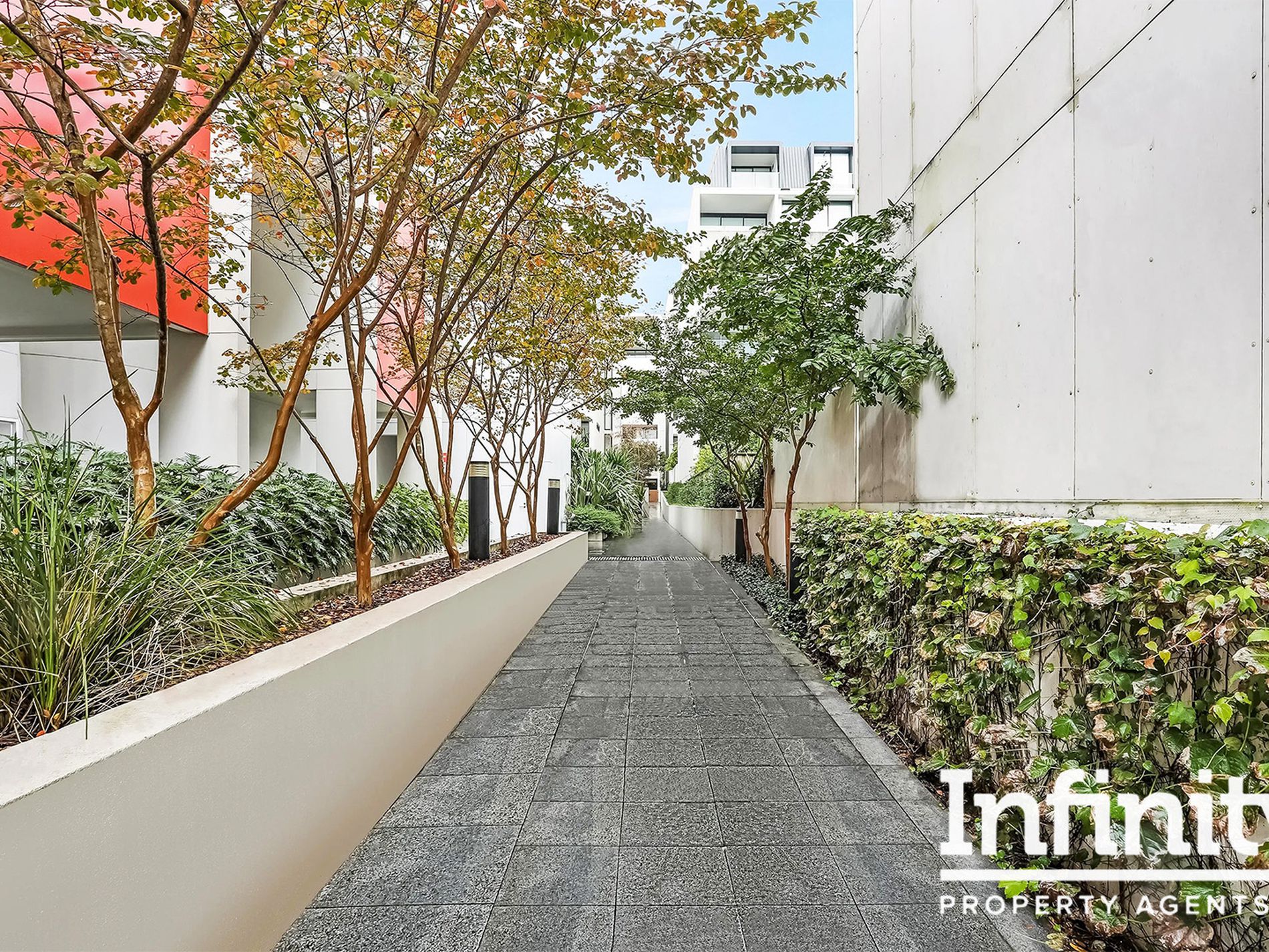 113 / 5-11 PYRMONT BRIDGE ROAD, Camperdown