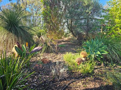 55 Blackboy Way, Morangup