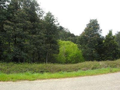 Lot 4 New Road, Franklin