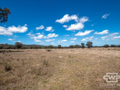 Lot 6, 2202 Wellington Vale Road, Emmaville