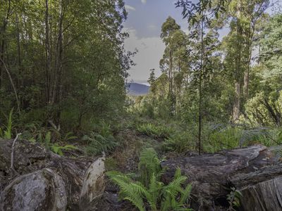 170 Russell Road, Lonnavale