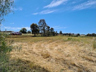 14 Andrews Avenue, York