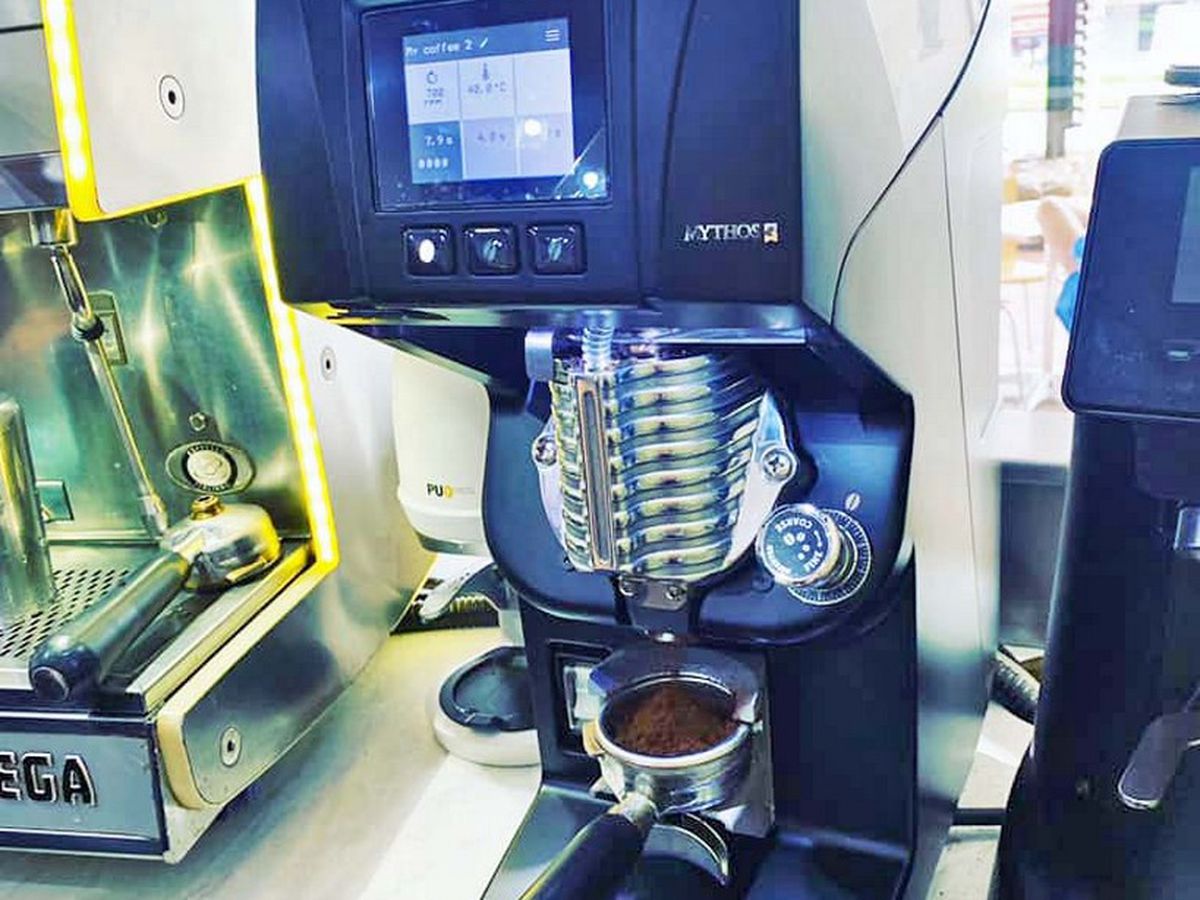 Crazy Cat Coffee