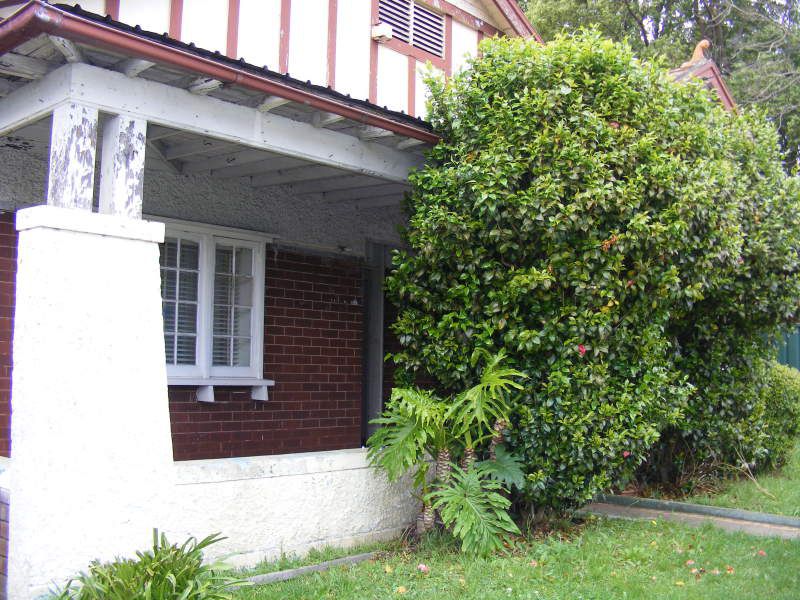 151 Elizabeth, Ashfield