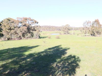 Lot 11  Lot 11  Davis Road, Mount Camel