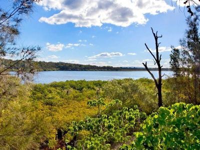 10 Hilton Terrace, Tewantin