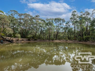 2285 Emmaville Road, Glen Innes