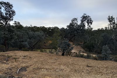 266 Strawberry Creek Road, WINDELLAMA, Windellama - Thumbnail 5