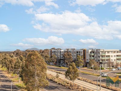 59 / 162 Flemington Road, Harrison