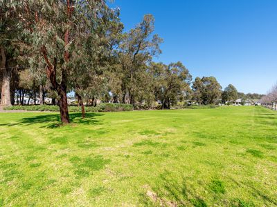 36 Firebrand Grove, Baldivis