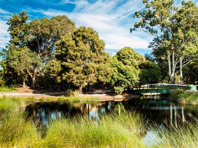 11 / 9 Juniper Place, Ballajura