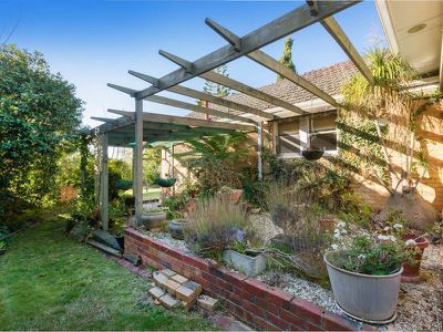 295 Belmore Road, Balwyn North