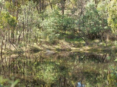Lot 1 Bush Sanctuary Road, Chewton