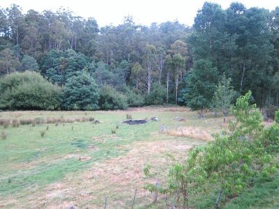 255 Fourteen Turn Creek Road, Grove