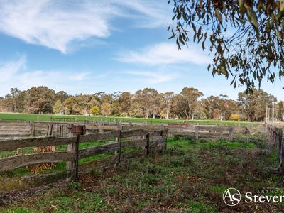 499 Old Wedderburn Road, Slaty Creek