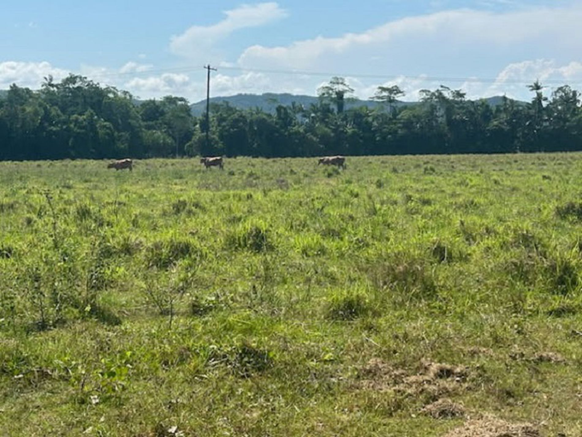 0 Bruce Highway, Sandy Pocket