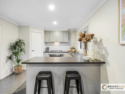 20 Manoora Avenue, Clyde North