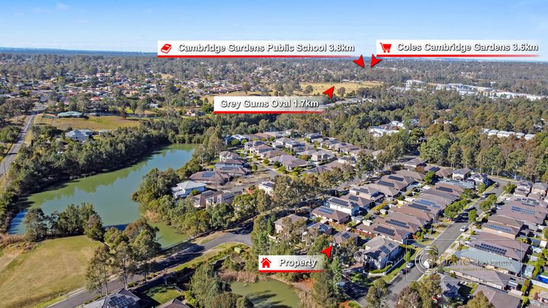 6 Avocet Circuit, Cranebrook