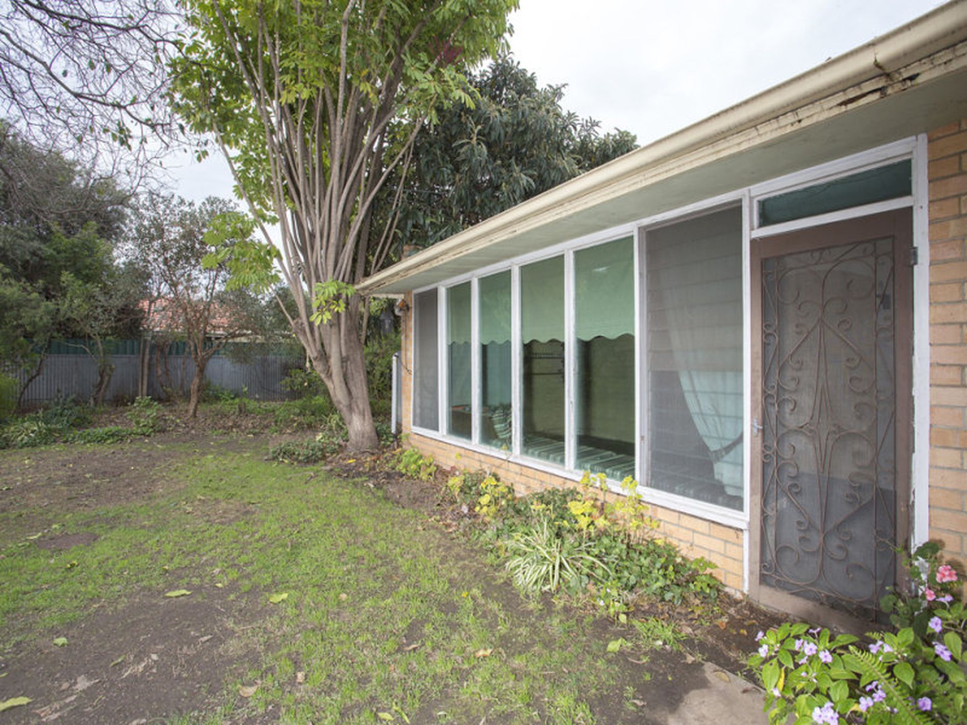 52 Malurus Avenue, Lockleys