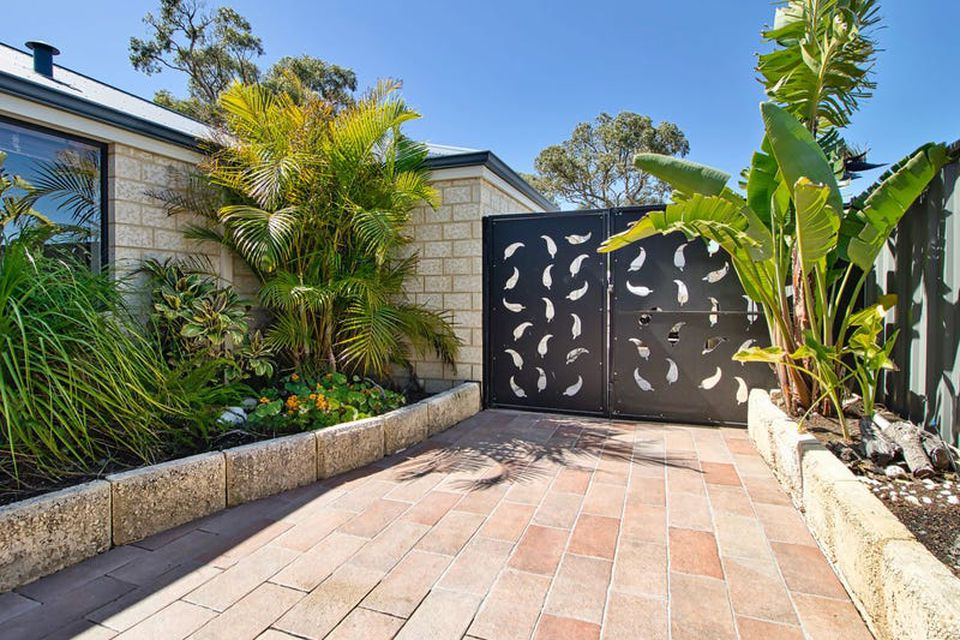 5 Diamondbird  , Baldivis