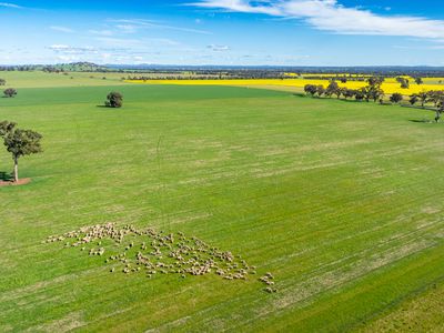 312 Merri Meric Road, Henty
