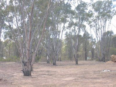 LOT 17 REYNOLDS COURT, Graytown
