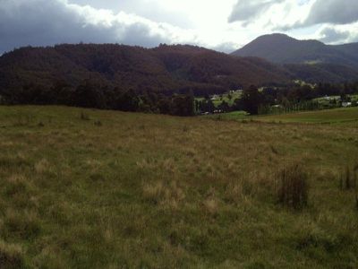 Lot 2 Twin Rivers Lane, Grove