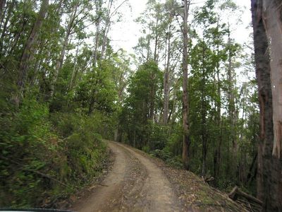 Reeves Road, Pelverata