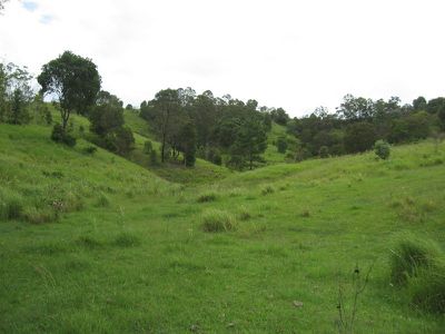 351 Kidaman Creek Road, Kidaman Creek
