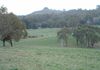 1721 The Escort Way, Orange