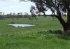 Lot 1 Reyfield Drive, Orange