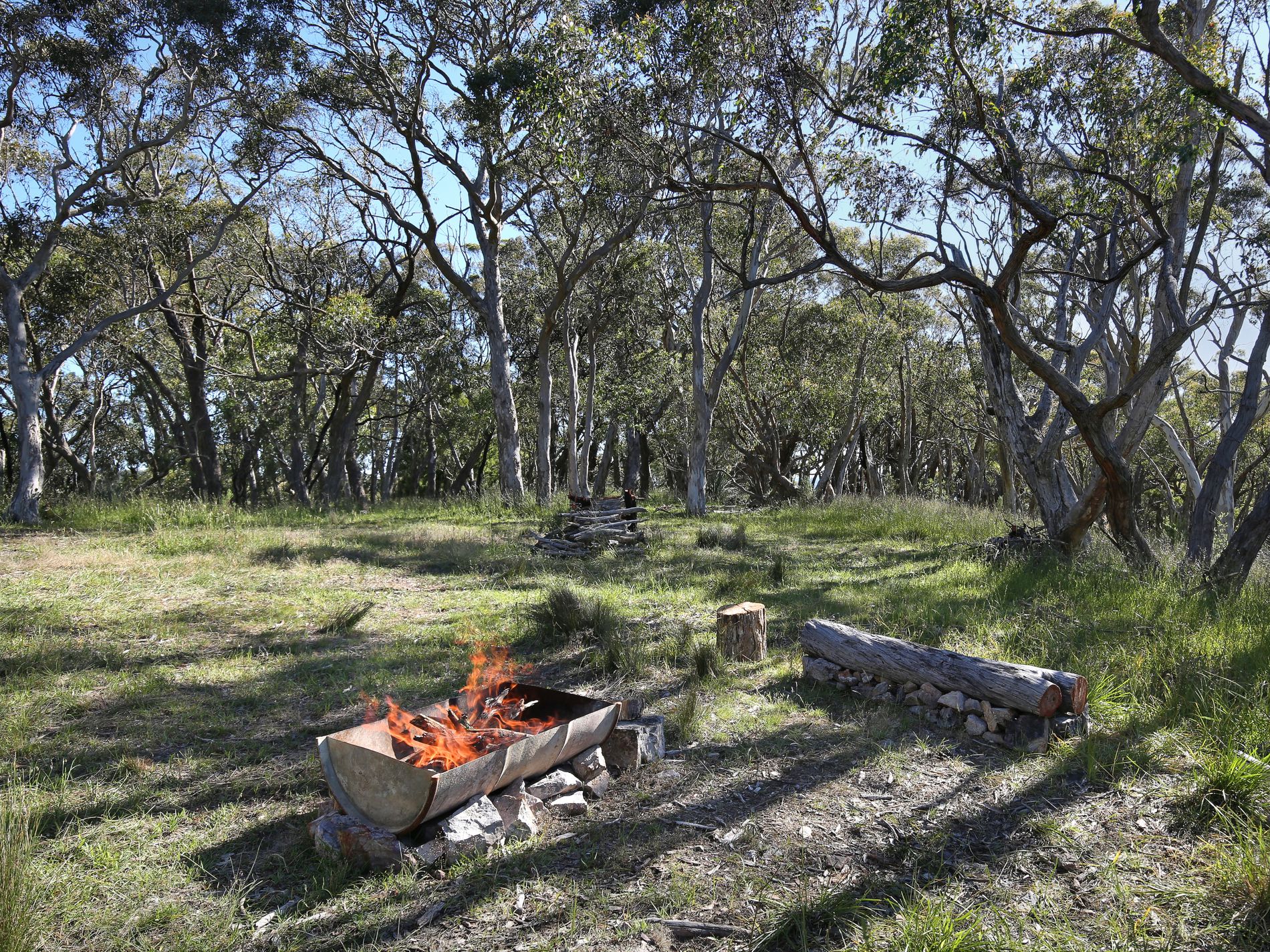 29 Rodert Road, Meadows