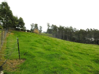 52 Duke Street, Geeveston
