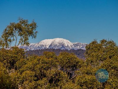 24 Bushland Close, Barwite