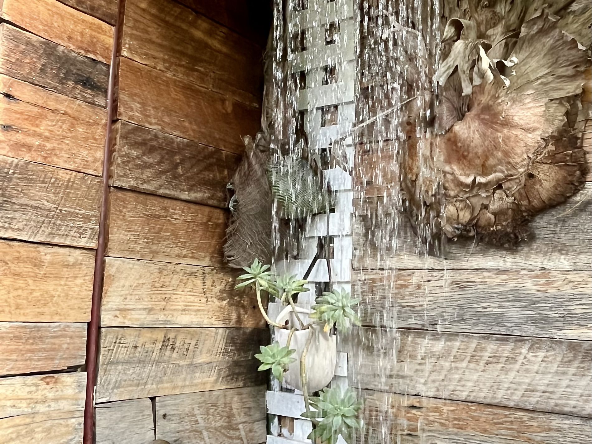 1 Eureka Avenue, Kiama Downs