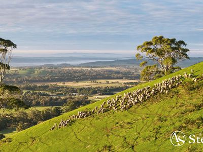 260 & 310 Mt William Road, Goldie
