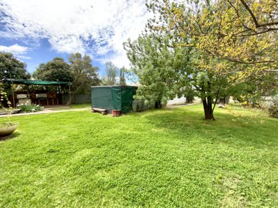 66 Sam Street, Forbes